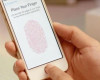 Smartphone Dengan Fitur Sidik Jari (Fingerprint) Terbaik